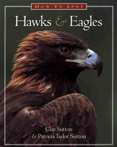 How to spot hawks & eagles / Clay Sutton and Patricia Taylor Sutton.