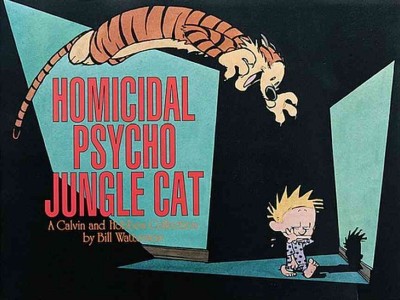 Homicidal psycho jungle cat : a Calvin and Hobbes collection / by Bill Watterson.