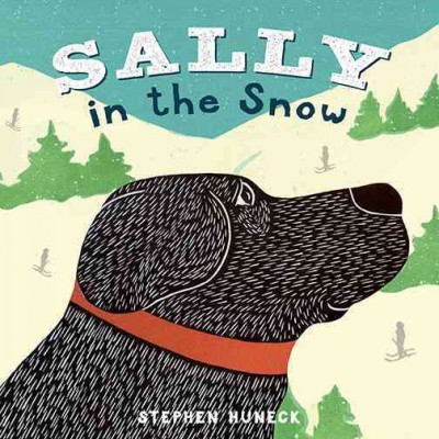 Sally in the snow / written and illustrated by Stephen Huneck.