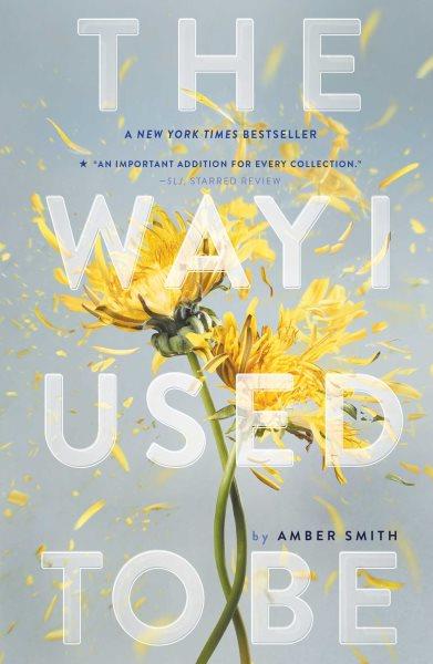 The way I used to be / Amber Smith.