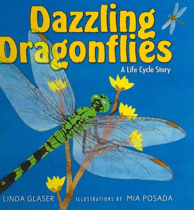 Dazzling dragonflies : a life cycle story / Linda Glaser ; illustrated by Mia Posada.