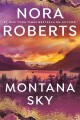 Go to record Montana sky
