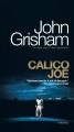 Calico Joe : a novel  Cover Image