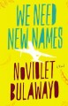 We need new names : a novel  Cover Image