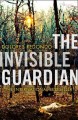 Go to record The invisible guardian