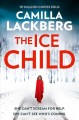 The ice child  Cover Image