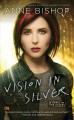 Vision in silver  Cover Image